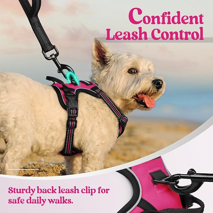 rabbitgoo Dog Harness No Pull with 2 Leash Clips, Adjustable Soft Padded, Reflective Oxford No Choke Pet Vest with Easy Control Handle for Puppy, Hot Pink, XS-Mewly Pet