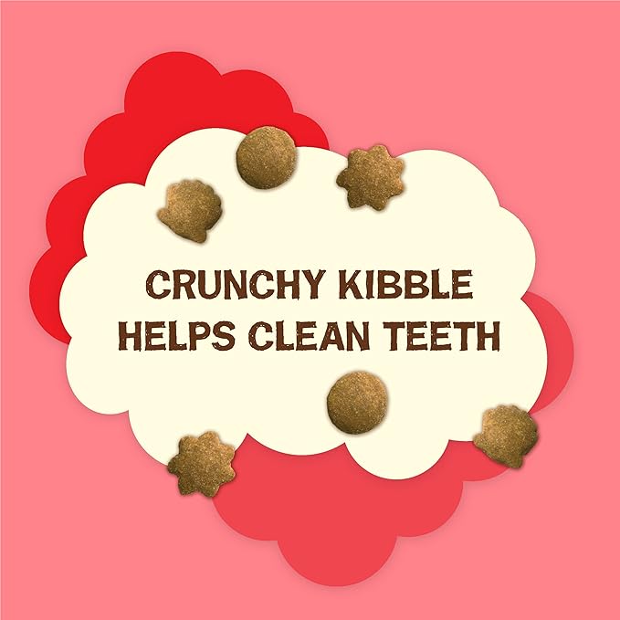 Purina Friskies Party Mix Cat Treats (Natural YUMS Salmon, 2.1 Ounce (Pack of 6))-Mewly Pet