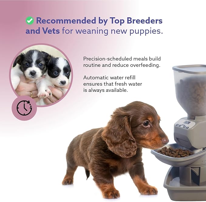 Automatic Dog & Cat Food Feeder with Water Dispenser – Smart Pet Feeder with Portion Control, OLED Display, Anti Jam Design, Battery Operated Dispenser for Small Pets - Taupe-Mewly Pet