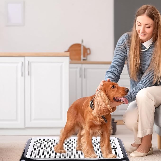 Mifoci 2 Pcs Dog Pee Pad Holder Potty Tray Portable Dog Litter Box Toilet Training for Indoor Outdoor Small Medium Large Pet Puppy(25.6 x 18.9 Inch)-Mewly Pet