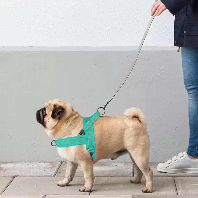 Didog No Pull Dog Harness with Breathable Mesh Padded, Full Reflective & Quick Fit Adjustable Vest Harness, Easy for Training Walking for Small & Medium and Large Dogs (Green, L:Chest 26-32")-Mewly Pet