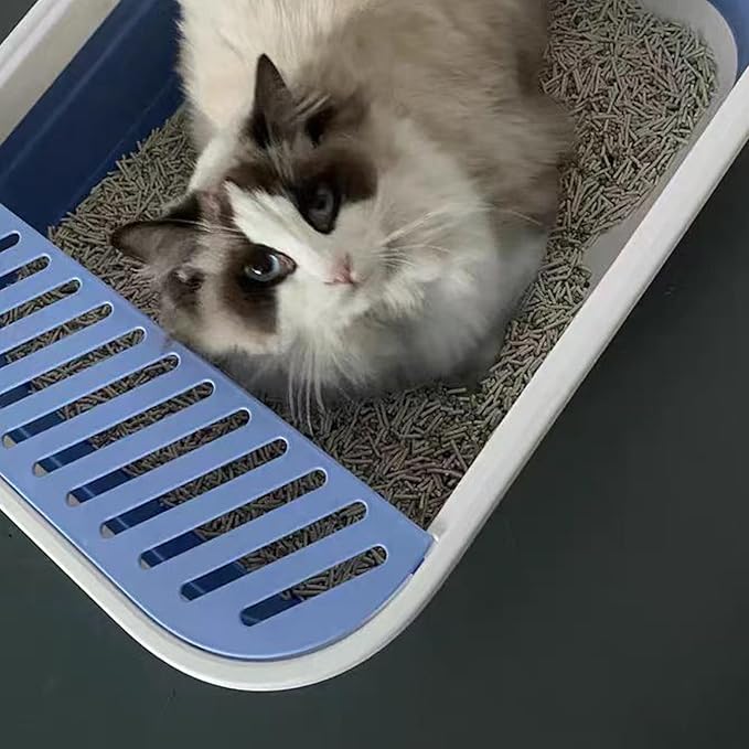 Senior Cat Litter Boxes, Collapsible Open Low Entry Cat Litter Pan with Scoop Travel Kitty Potty Pan Foldable Pet Toilet for Sick Disabled Older Elderly Cats 20.9x15.7x5.7 inch-Mewly Pet