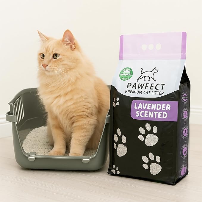 Lavender Scented Clumping Cat Litter – 9.6 lb / 5L, Lightweight, Dust-Free, Strong Odor Control, Turkish White Bentonite-Mewly Pet