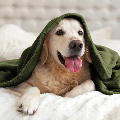 BEDELITE Fleece Blanket Olive Green Throw Blankets for Couch & Bed, Luxury Plush Cozy Fuzzy Blanket 50x60 inches, Super Soft Warm Lightweight Throw Blanket for Travel Camping