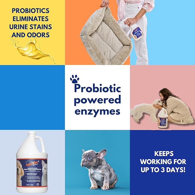 Whip-Pet Pet Odor Eliminator and Stain Remover - Enzymatic Cleaner for Dog Urine and Carpet Odor Eliminator - Pet Odor Remover - 128 fl oz / 3.78L-Mewly Pet