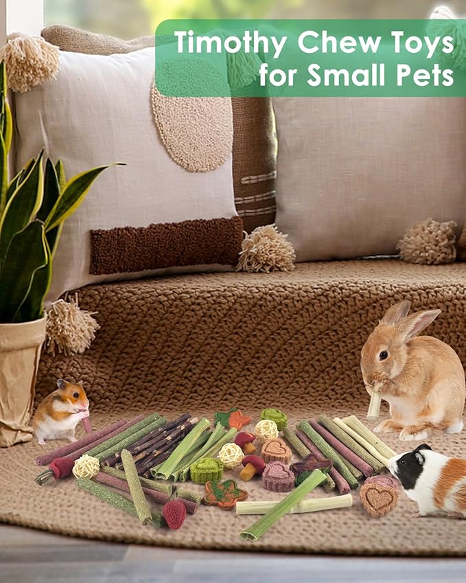 ERKOON 53 Bunny Chew Toys for Rabbits Teeth, Natural Rabbit Toys Apple Wood Sticks, Carrot, Timothy Grass for Small Pets, Hamster, Chinchilla, Guinea Pig Dental Care and Treat Teething(53)-Mewly Pet