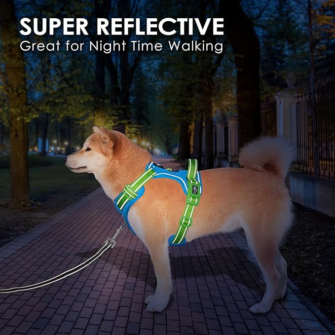PHOEPET No Pull Dog Harness, Unique Colors Reflective Adjustable Dog Vest, with Soft Training Handle Metal Clips for Small Medium Large Dogs (Blue Base & Green Straps,S)-Mewly Pet
