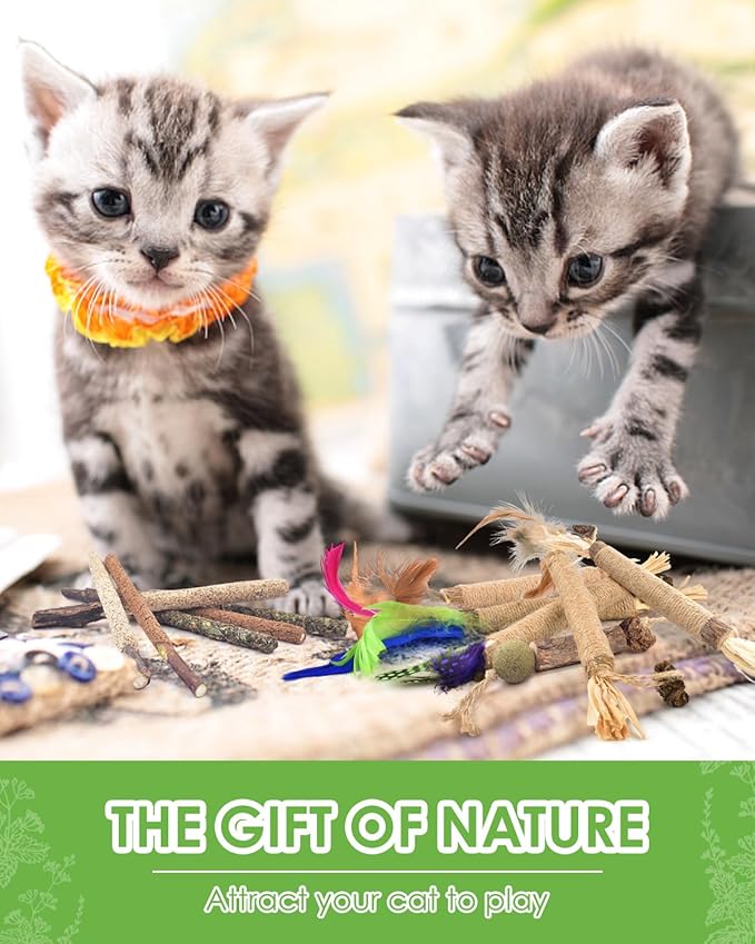 TINDTOP Silvervine Chew Sticks for Cats, 12 Pack Natural Catnip Chew Toys for Kittens Teeth Cleaning, Matatabi Dental Care, Increase Appetite, Calm Cat Anxiety and Stress, Cat Dental Toy-Mewly Pet