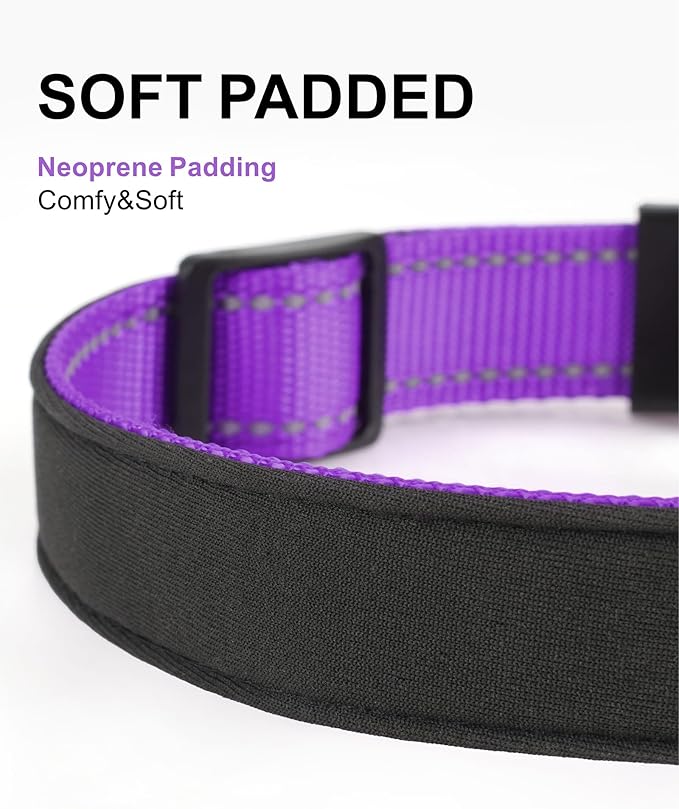 TagME Airtag Dog Collar,Waterproof Reflective Pet Collar with Airtag Holder,Soft Padded and Double D-Rings for Large Dogs,Purple-Mewly Pet