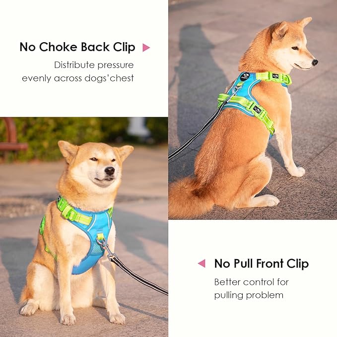 PHOEPET No Pull Dog Harness, Unique Colors Reflective Adjustable Dog Vest, with Soft Training Handle Metal Clips for Small Medium Large Dogs (Blue Base & Green Straps,XL)-Mewly Pet