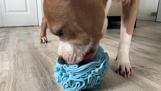 Medium Breed Snuffle Interactive Foraging Dog Puzzle Ball Toy Blue Large-Mewly Pet