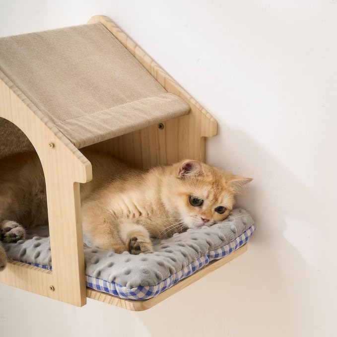SHENGOCASE Natural Wood Cat Wall Shelves Bed, 2-Pack, Wall-Mounted Box House Perch, Cat Condo Furniture with Washable Pillow Cushions-Mewly Pet