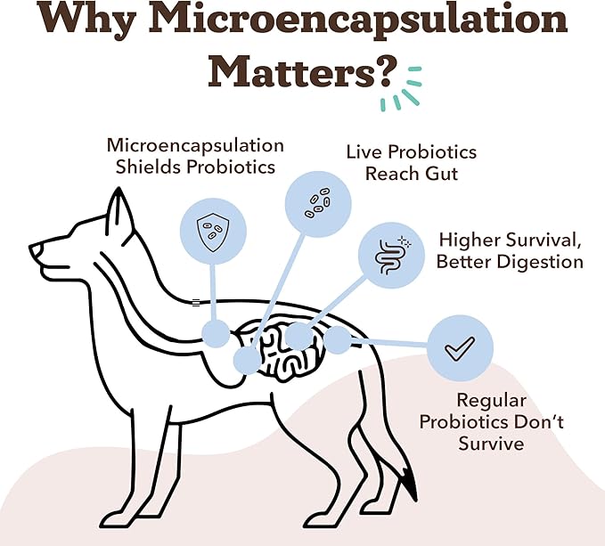 Natural Dog Company Gut Health & Probiotic Chews for Dogs (45 Ct), Prebiotics, Digestive Enzymes & Canine Specific Probiotics for Digestion, Gas, Loose Stool & Immune System Support, 1 Chew Daily-Mewly Pet