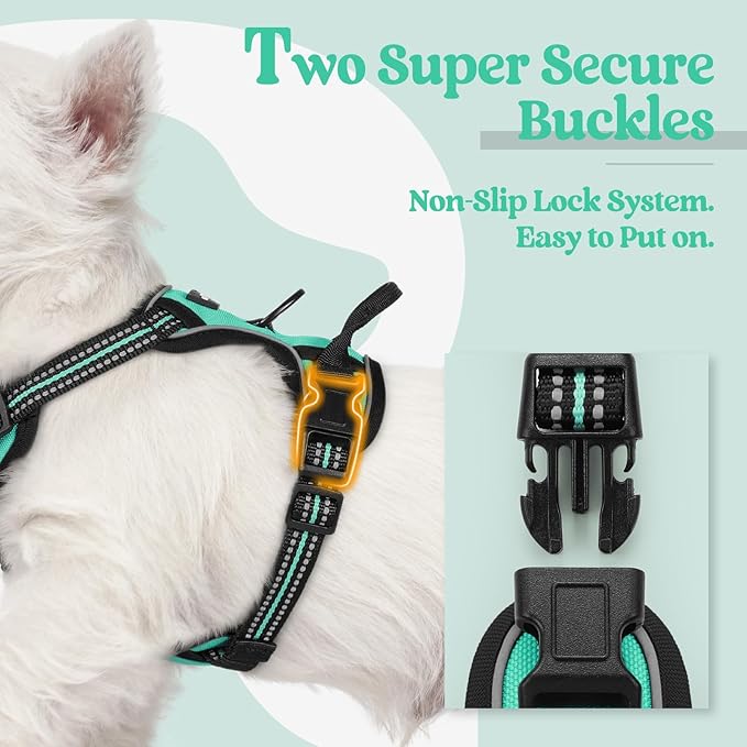 rabbitgoo Dog Harness No Pull with 2 Leash Clips, Adjustable Soft Padded, Reflective Oxford No Choke Pet Vest with Easy Control Handle for Puppy, Turquoise, XS-Mewly Pet