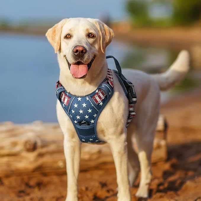 rabbitgoo Dog Harness No Pull with 2 Leash Clips, Adjustable Soft Padded, Reflective Oxford No Choke Pet Vest with Easy Control Handle for Large Dogs, Blue Star, M-Mewly Pet