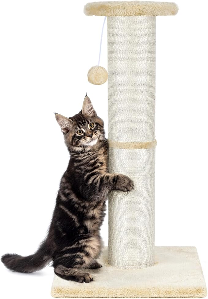 PAWSCRAT Cat Scratching Post 32" Tall, Large Diameter Natural Sisal Cat Scratch Post with Dangling Ball, Scratch-Resistant and Durable Tall Cat Scratcher for Indoor Cats, Protect Your Furniture, Beige-Mewly Pet