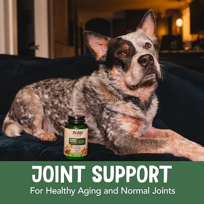 NOW Pet Health, Joint Support Supplement, Formulated for Cats & Dogs, NASC Certified, 90 Chewable Tablets-Mewly Pet