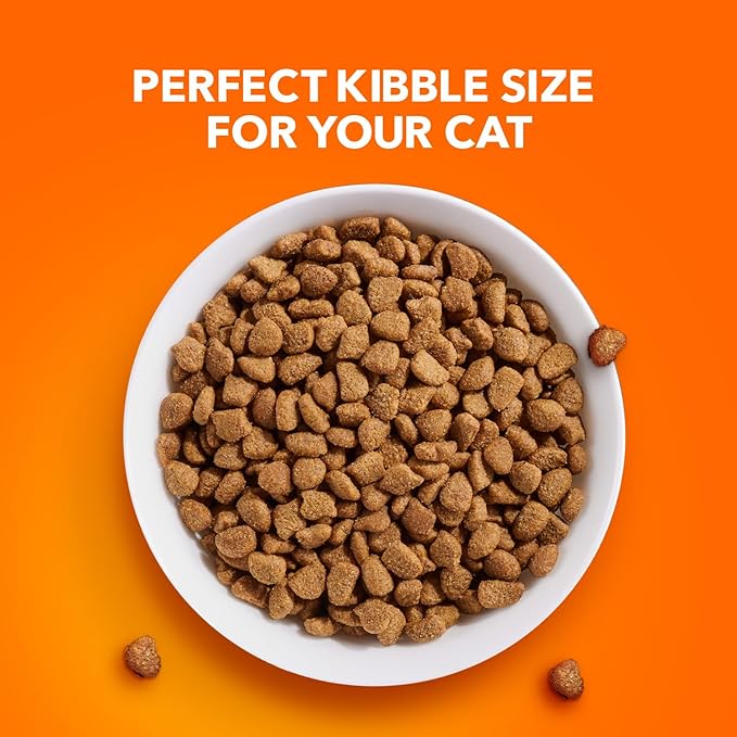 IAMS Proactive Health Indoor Weight Control & Hairball Care Adult Dry Cat Food, Chicken & Turkey Recipe, 22 lb. Bag-Mewly Pet