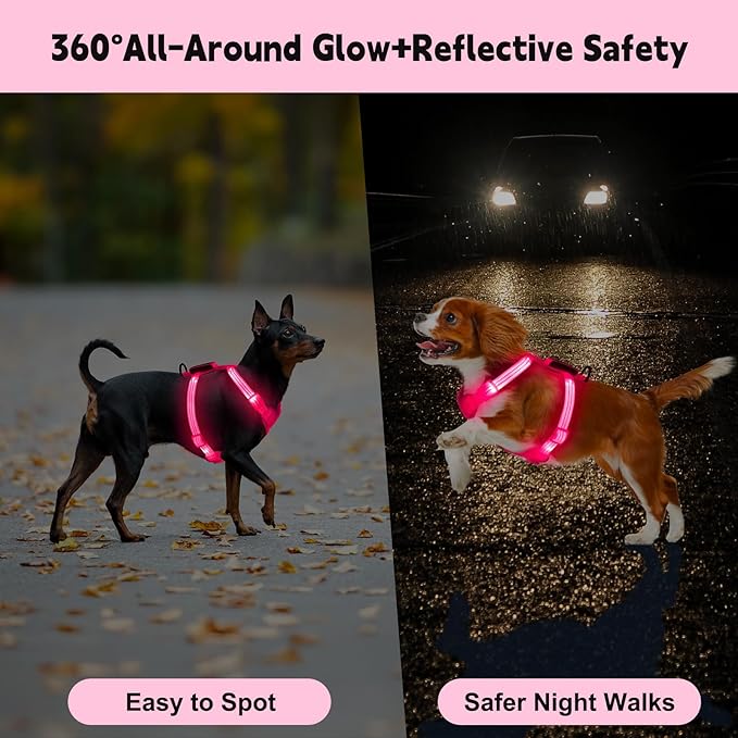 Rechargeable Light Up Dog Harness for Small Dogs – Adjustable LED Dog Vest with Reflective Strips, No Pull Glow in The Dark Puppy Harness for Night Walking Safety-Pink-Mewly Pet