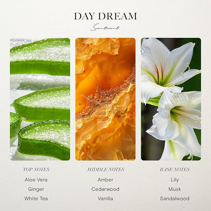 Scentiment Diffuser Oil - Day Dream | Inspired by Luxury Five Star Hotel Scents White Tea Scent | Aromatherapy Home Fragrance| Luxurious Scent with Notes of Aloe Vera, Cedar, White Tea (20ml)