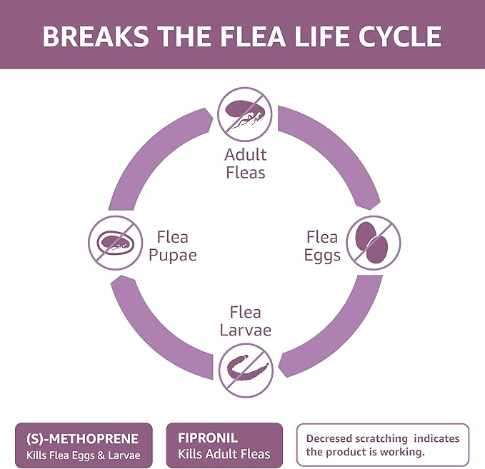 Amazon Basics Flea and Tick Topical Treatment for Large Dogs (45-88 lbs), Unscented, 6 Count (Previously Solimo)-Mewly Pet