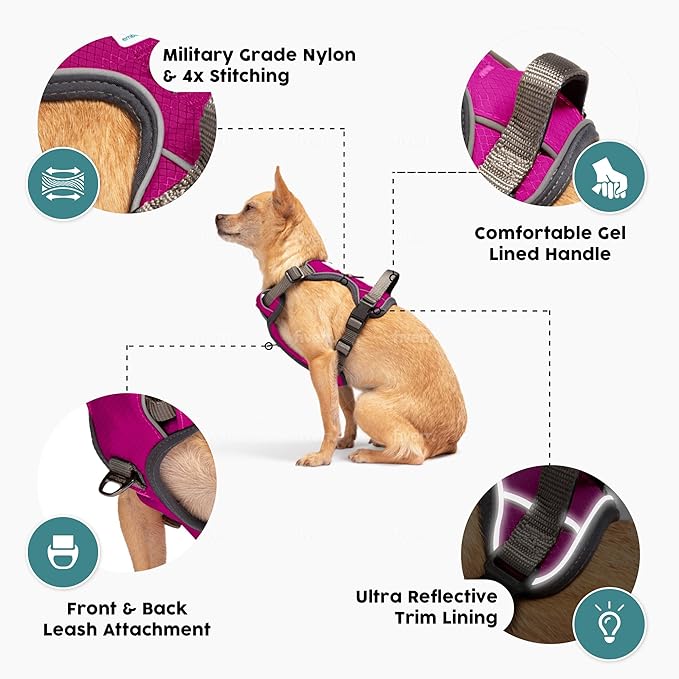 Embark Adventure Dog Harness, Reflective Trim XL Dog Harness for Extra Large Dogs No Pull - Military Grade Nylon, 2 Leash Clips & Gel Lined Handle.-Mewly Pet