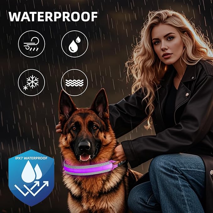 PetIsay LED Dog Collar Metal Buckle - Heavy Duty Light up Collars - Rechargeable IP68 Waterproof - Lighted Dog Collar for Night Walking, Hiking, Camping (Medium, Purple)-Mewly Pet