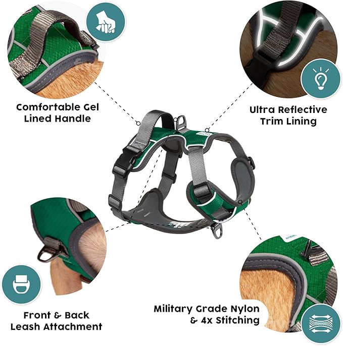 Embark Adventure Dog Harness, Reflective Trim No Pull Dog Harnesses for Small Sized Dogs - Military Grade Nylon, Front Clip with Gel Lined Handle.-Mewly Pet