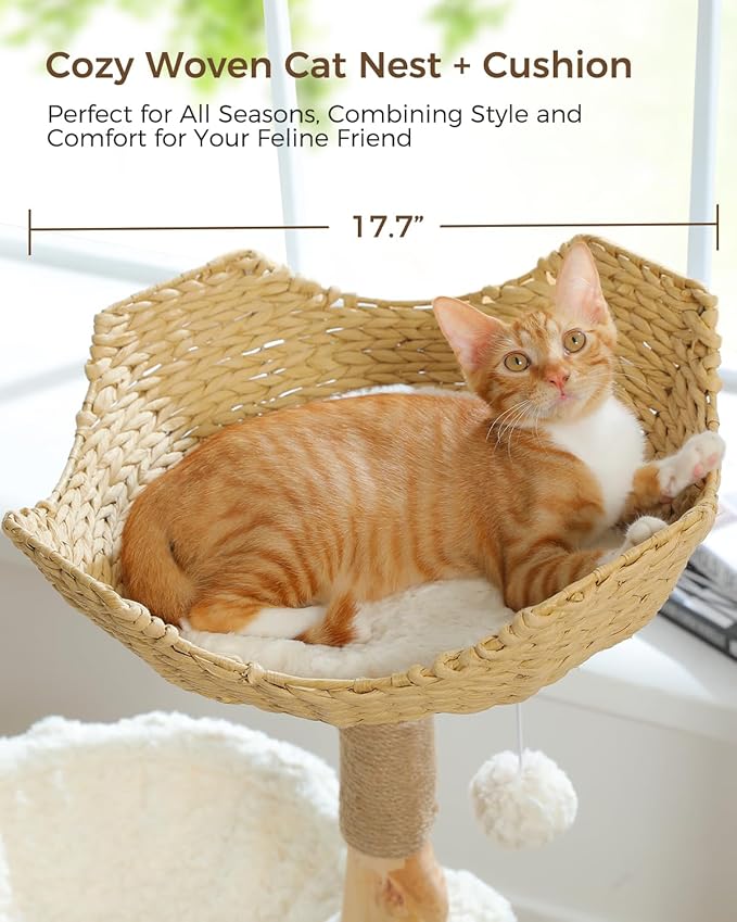 Modern Cat Tree for Large Cats, Wood Cat Tower for Indoor Cats, Real Branch Luxury Cat Furniture with Super Large Cozy Condo and Hammock & Scratching Post, Top Basket, White-Mewly Pet