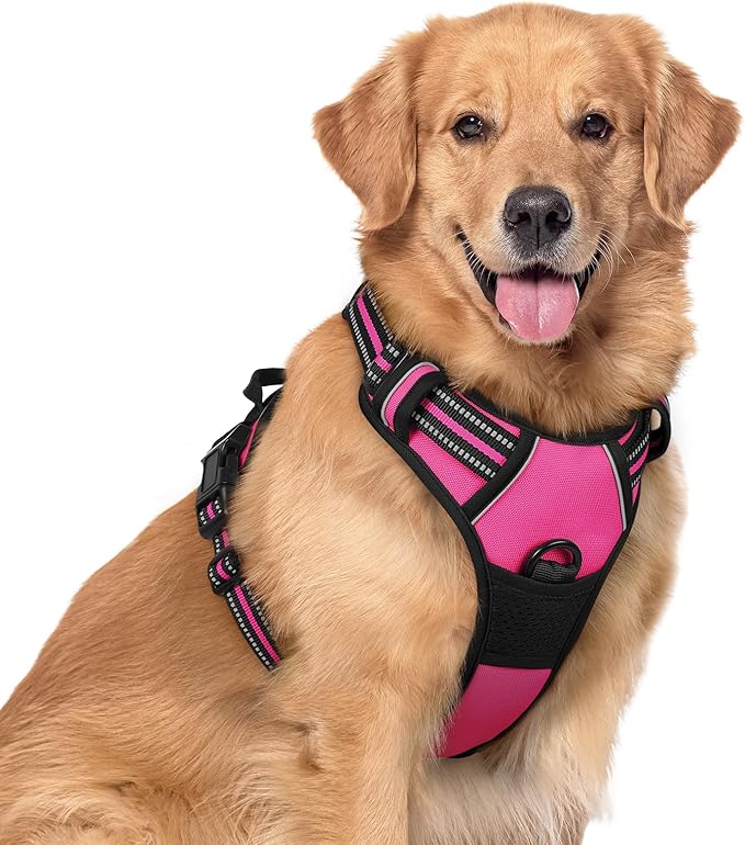 rabbitgoo Dog Harness No Pull with 2 Leash Clips, Adjustable Soft Padded, Reflective Oxford No Choke Pet Vest with Easy Control Handle for Large Dogs, Hot Pink, XL-Mewly Pet