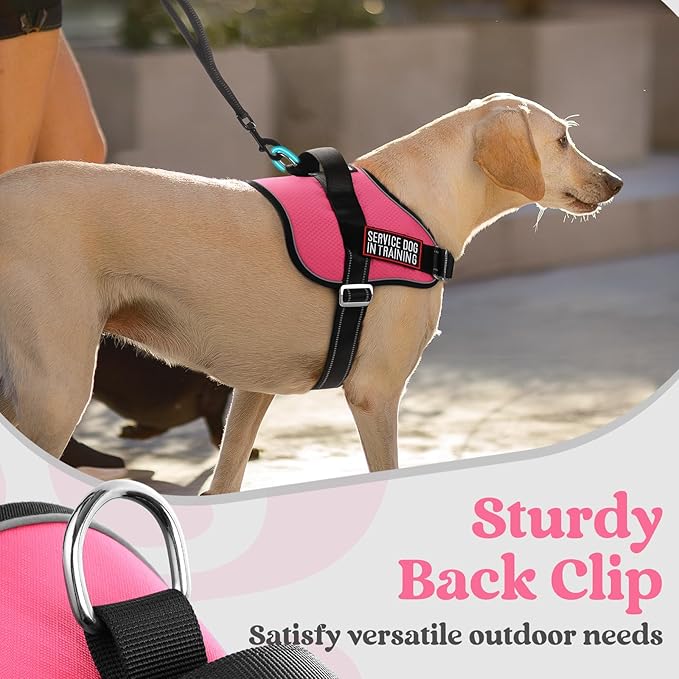 rabbitgoo Dog Harness for Small, Easy On Pet Vest with One Buckle, No Pull Adjustable Service Harness with D-Ring & Handle, Reflective for Safety Walking, Training, Pink, S-Mewly Pet