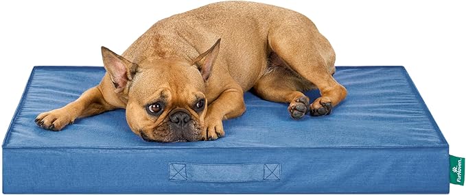 FurHaven Cooling Dog Bed – Medium Foam Mattress for Joint Pain Relief, Waterproof Liner, Removable Washable Cover, Durable for Outdoor Use, Deluxe Grid Indoor/Outdoor Bed – Blue, Medium-Mewly Pet