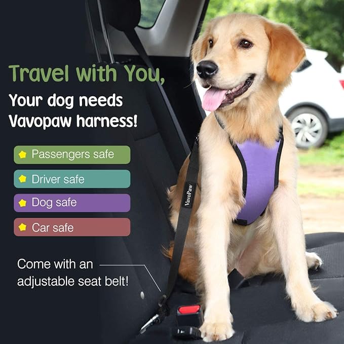 Dog Seat Belt, Safety Vest Dog Car Harness with Adjustable Buckle Dog Seat Belt for Vehicle Nylon Pet Safety Seat Belts Heavy Duty(S, Purple)-Mewly Pet