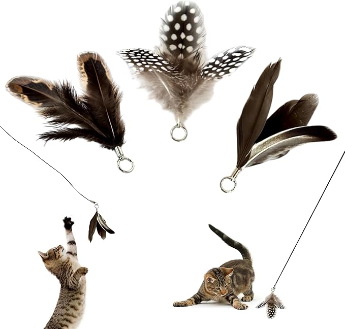 Feather Toys Replacements (3 Pc) - Cat Toys & Kitten Toys for Indoor Kittens, Set of Replacement Feather Attachments Extra Small and Durable, for Cat Wands, Natural and Safe-Mewly Pet