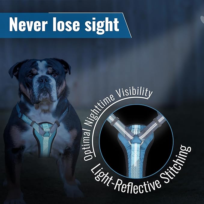 No-Pull Dog Harness with Handle - Escape Proof, Anti-Pulling, Grip Control, Multi-Angle Reflective for Safe Walks & Training, Easy On & Off, Metal Buckle–Pet Harness, Medium/Large Dogs- N H4- Blue-Mewly Pet