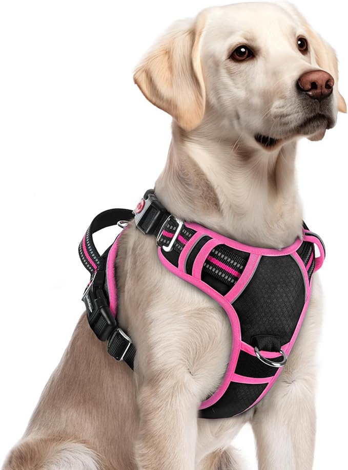 rabbitgoo Dog Harness for Large Dogs, No Pull Pet Vest with 3 Buckles, Adjustable Soft Padded Pet Harness with Easy Control Handle and Reflective Strips, Black & Rose Pink, L-Mewly Pet