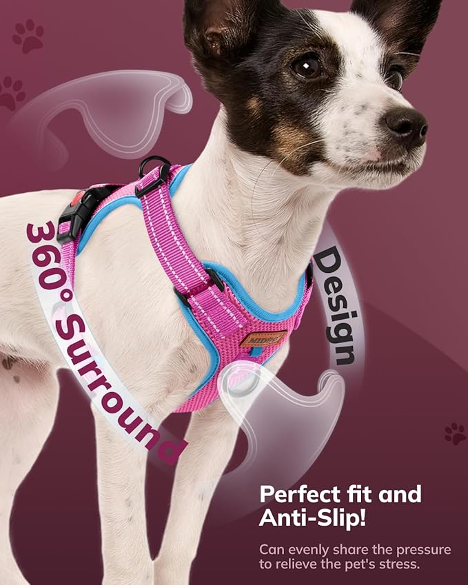 MIDOG No-Pull Dog Harness | Adjustable & Reflective Pet Harness Leash Set for Small Medium Large Dogs Walking, Training| No Choke, Front Clip, Soft Padded Vest with Easy Control Handle - Pink, L-Mewly Pet