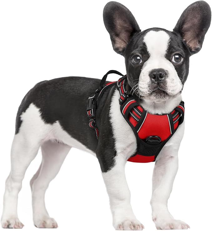 rabbitgoo Dog Harness No Pull with 2 Leash Clips, Adjustable Soft Padded, Reflective Oxford No Choke Pet Vest with Easy Control Handle for Small Dogs, Red, S-Mewly Pet