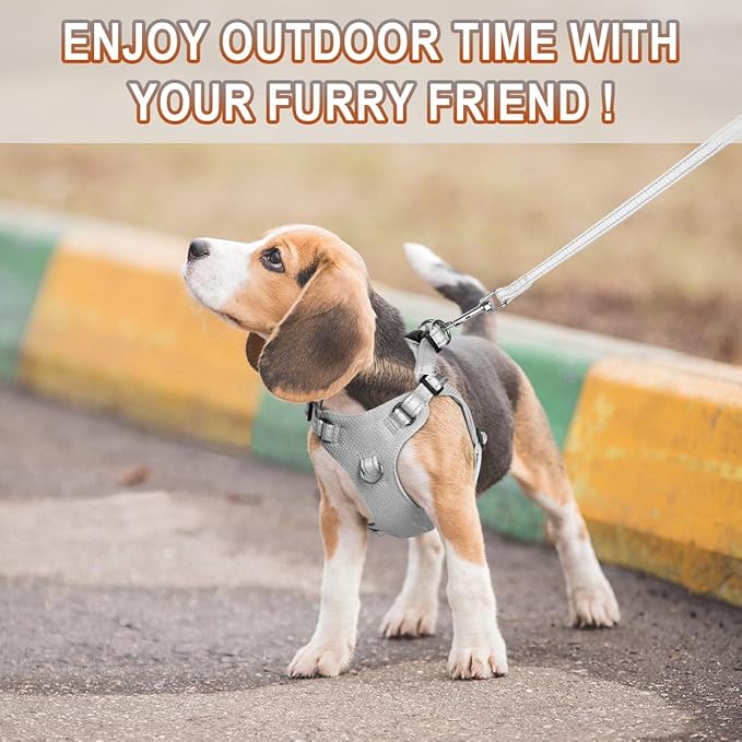 Dog Harness Step in Dog Vest Harness, Reflective Adjustable Puppy No Pull Harness Breathable Soft for Small and Medium Dogs Cats, Grey, XS-Mewly Pet