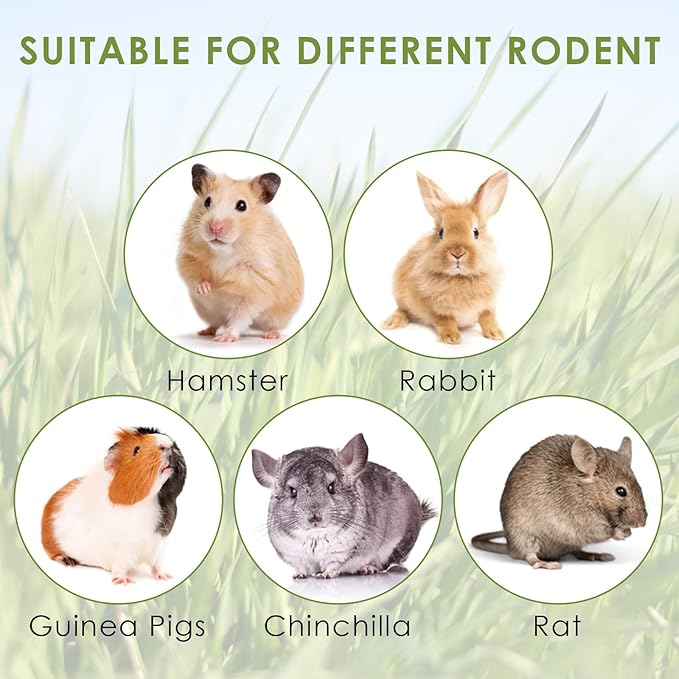 ERKOON 24Pcs Bunny Chew Toys, Small Animal Molar Toys Timothy Grass Beet Sweet Potato Pumpkin Cake Treats for Guinea Pig Hamster Bunny Chinchilla Gerbil, 100% Natural Rabbit Chews and Treats-Mewly Pet