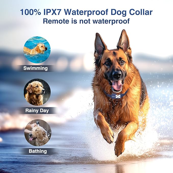 Dog Training Collar - 4200FT Dog Shock Collar with Remote Control with 119 Training Levels & Night-Lights, 100% Safe Innovative E Collar for Dogs Training for 20-140 Lbs Dogs
