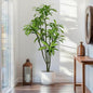 6.56ft Tall Dracaena Draco Artificial Tree, Handmade Dracaena Draco Tree, Fake Dracaena Draco with Faux Silk Leaves, Artificial Plants for Home Office Indoor Outdoor Party Wedding Decor
