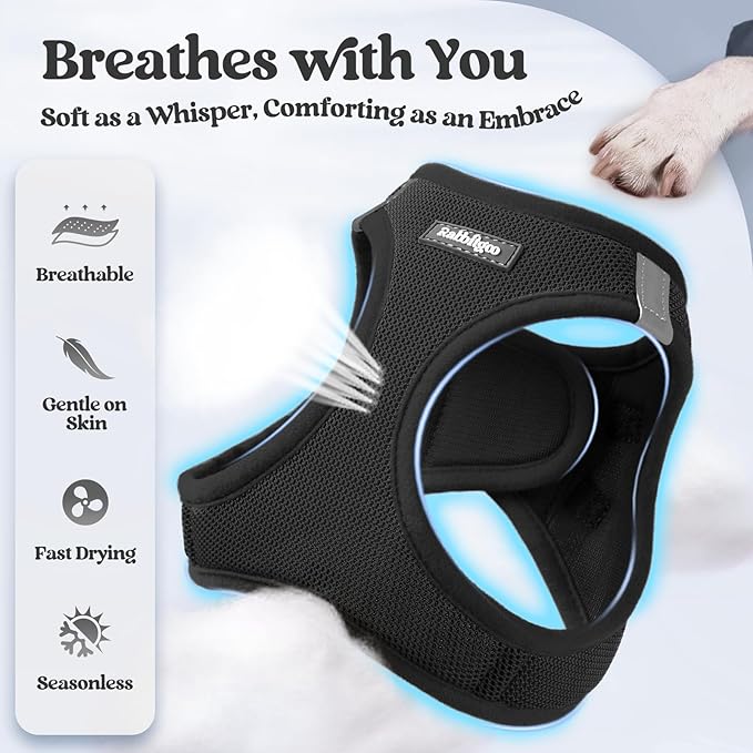 rabbitgoo Dog Harness Small Sized and Leash Set, Step in Soft Light Puppy Vest, Breathable Mesh Pet Harness, Reflective for Safe Easy Walking, Black M-Mewly Pet