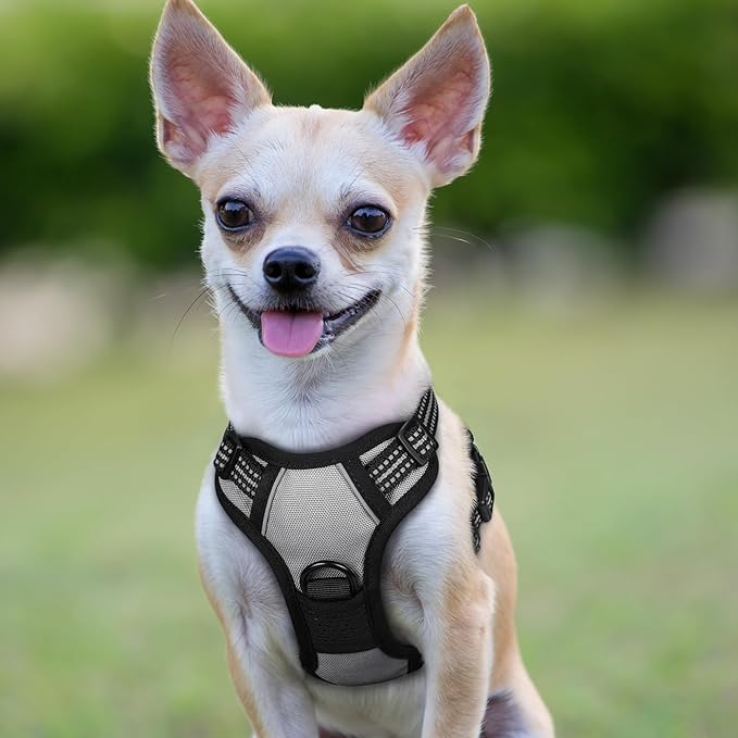 rabbitgoo Dog Harness No Pull with 2 Leash Clips, Adjustable Soft Padded, Reflective Oxford No Choke Pet Vest with Easy Control Handle for Puppy, Grey, XS-Mewly Pet