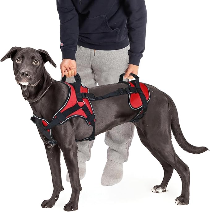 Doggie Stylz Multi-Functional Full-Body Lifting Dog Harness Vest, Designed for Front-Only, Rear-Only or Full-Body Lifting. Please Measure Your Dog Before Ordering.-Mewly Pet