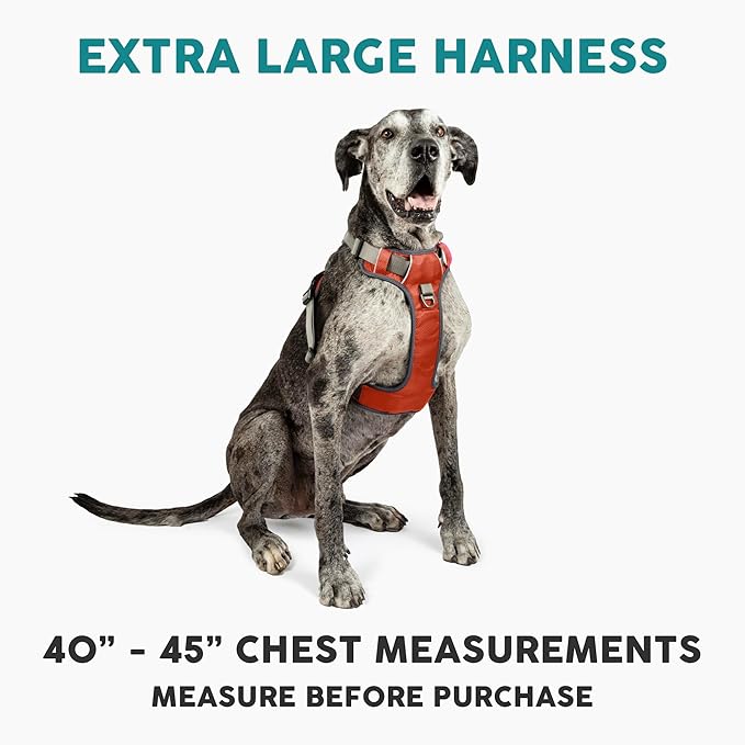 Embark Adventure Dog Harness, Reflective Trim XL Dog Harness for Extra Large Dogs No Pull - Military Grade Nylon, 2 Leash Clips & Gel Lined Handle.-Mewly Pet