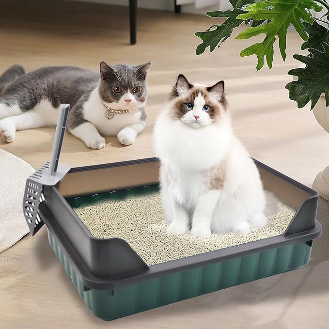 Cat Litter Boxes Large,Kitty Litter Box Low Entry High Sides,Semi Enclosed Front Entry Cat Pan Anti-Splashing Detachable Kitten Toilet with Scoop (Green)-Mewly Pet