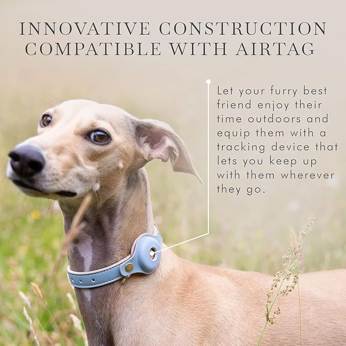 Cupertino Dog Collars, Harnesses & Leashes Made from Vegan Leather with Dog Tracker Device Holder Adjustable Dog Collar - Color Blue, Large-Mewly Pet