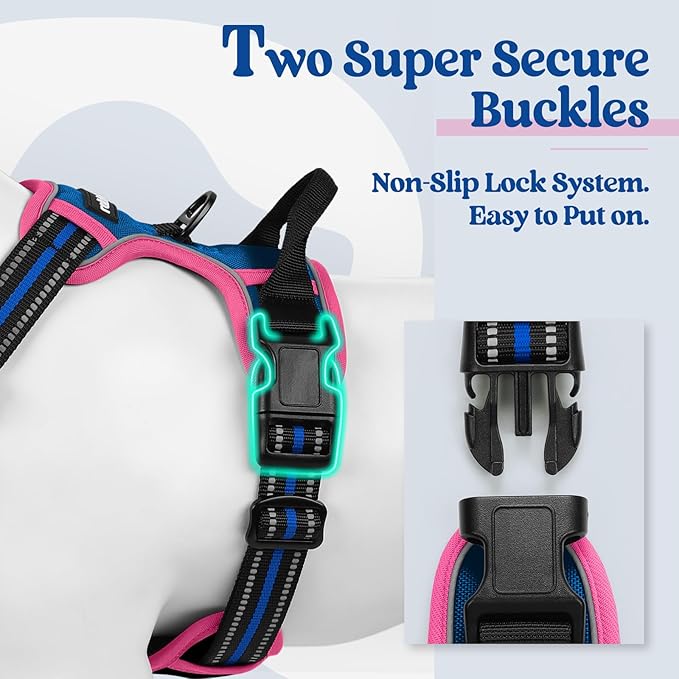 rabbitgoo Dog Harness No Pull with 2 Leash Clips, Adjustable Soft Padded, Reflective Oxford No Choke Pet Vest with Easy Control Handle for Large Dogs, Blue & Hot Pink, S-Mewly Pet