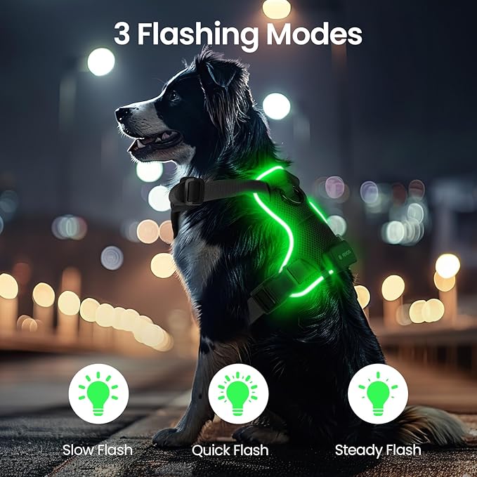 Light Up Dog Harness,Reflective Pet Harness Rechargeable,Led Dog Vest Harness for Night Walking,Adjustable Dog Safety Vest for Small Medium Large Dogs-No Pull,Black,L-Mewly Pet